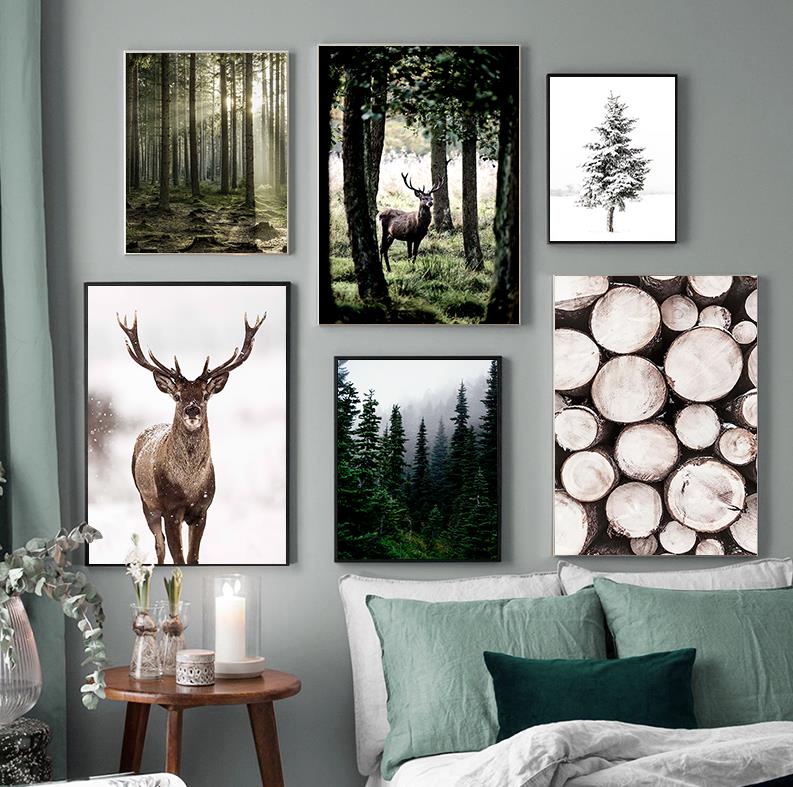 Photography Landscape - Winter Snow Forest Deer Owl Sunlight