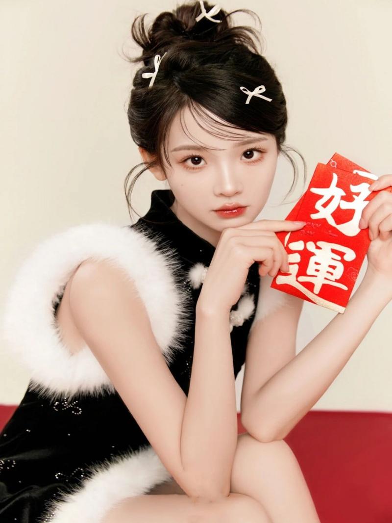 New Year 2025 Snake Year Chine - Photography Year 评论和价格