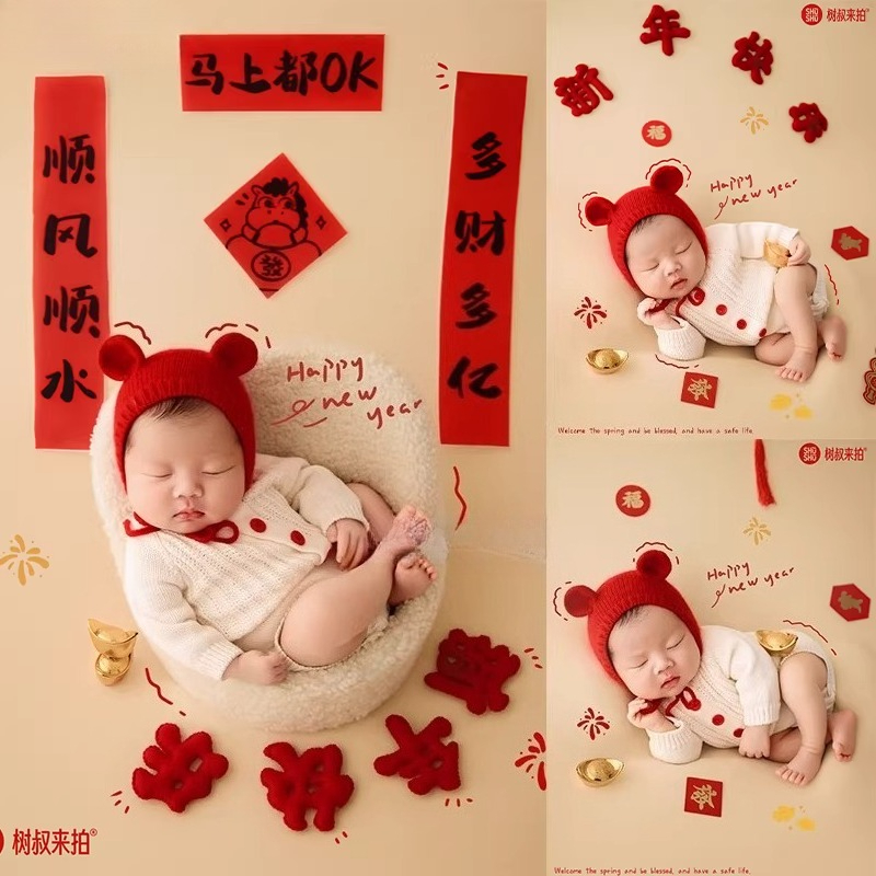 2026 Horse New Year Newborn Ph - Photography Year 评论和价格