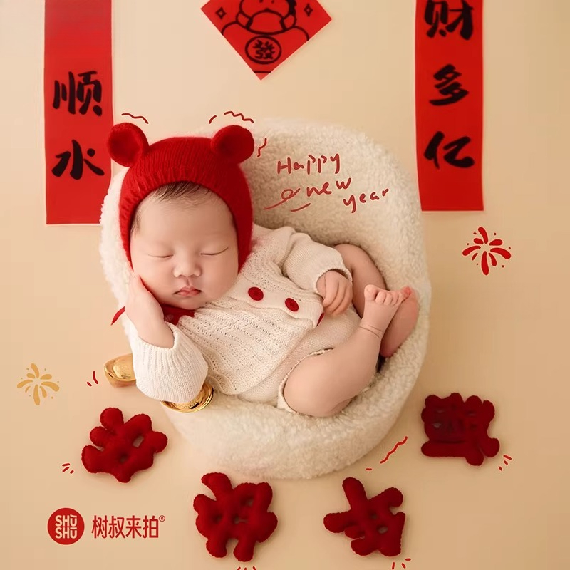2026 Horse New Year Newborn Ph - Photography Year 评论和价格
