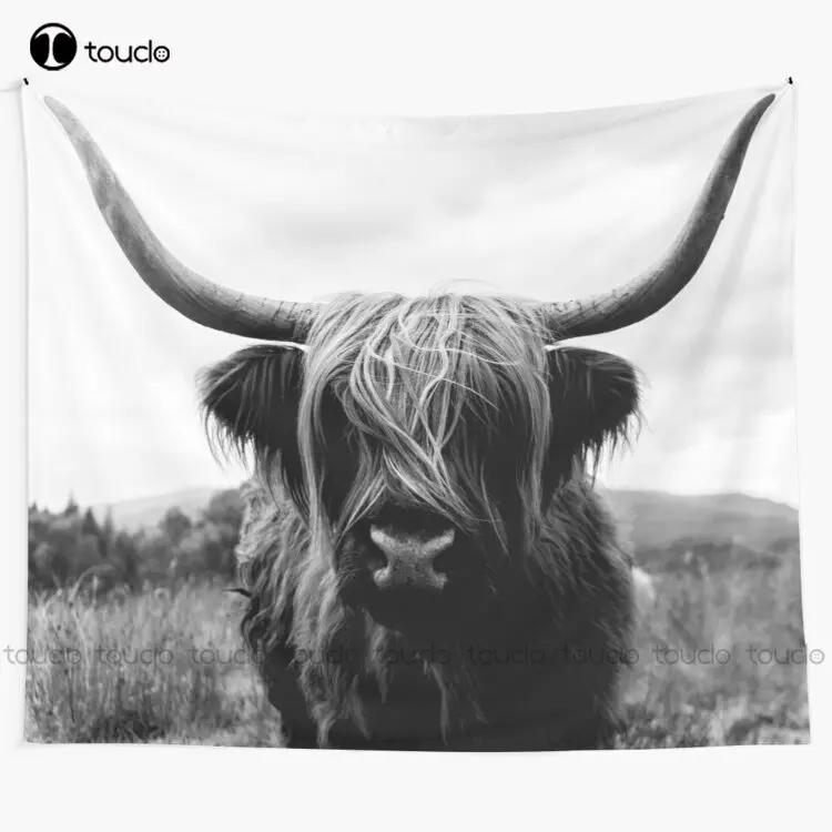 Scottish Highland Cattle - Bla - Photography Online 评论和价格