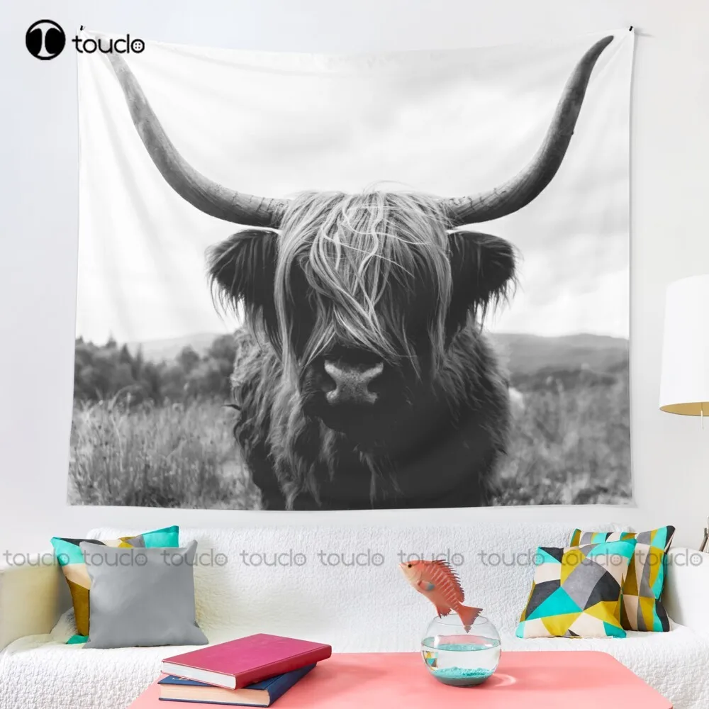 Scottish Highland Cattle - Bla - Photography Online 评论和价格
