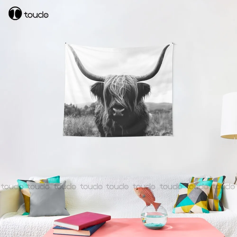 Scottish Highland Cattle - Bla - Photography Online 评论和价格