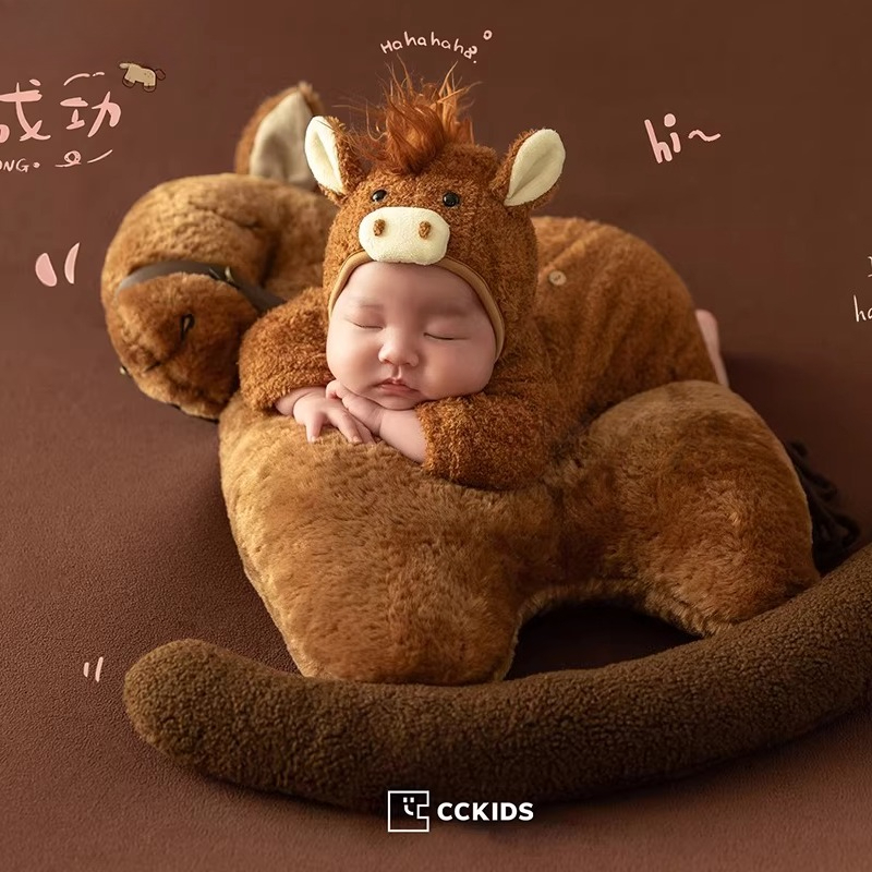 Newborn Photography Props Cute - Photography Year 评论和价格