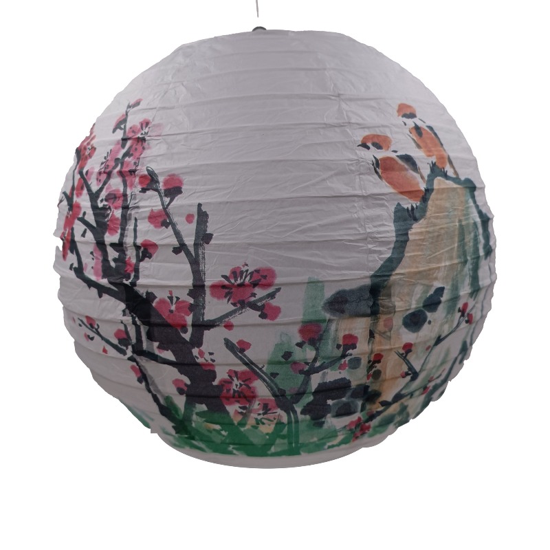 30cm Printed Paper Chinese Sty - Photography Year 评论和价格