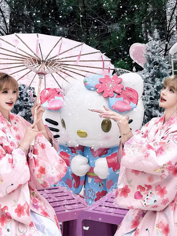 Traditional Japanese Kimono Ba - Photography Online 评论和价格